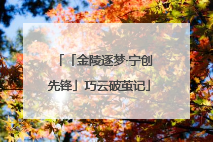 「金陵逐梦·宁创先锋」巧云破茧记